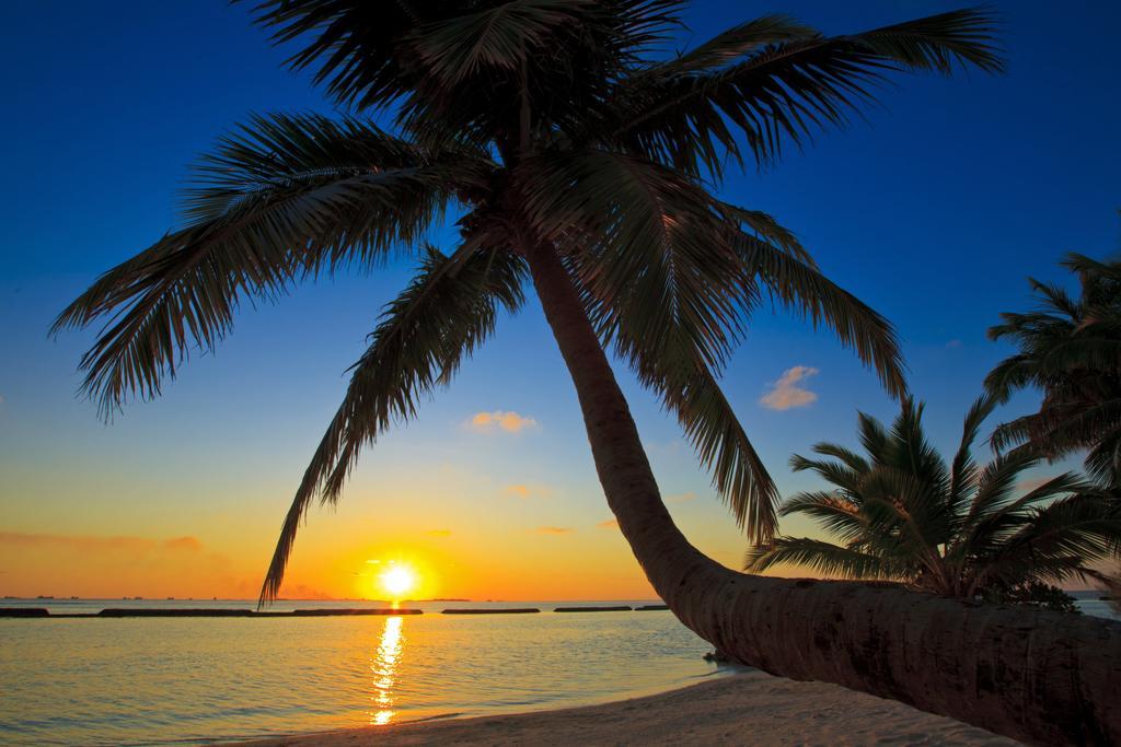 คุรุมบา มัลดีฟส์ Hotel Vihamanaafushi ภายนอก รูปภาพ Sunset at the beach
